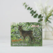 Carte postale d'anniversaire de chevreuil mignon d (Debout devant)
