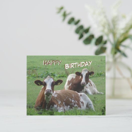 Carte postale d'anniversaire de deux vaches blanch (Debout devant)