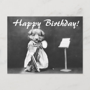 Carte postale d'anniversaire de violon pour chien