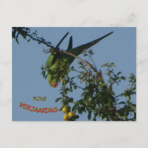 Carte postale d'anniversaire do-it-yourself perruq