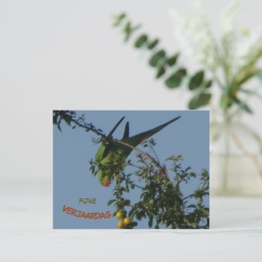 Carte postale d'anniversaire do-it-yourself perruq (Debout devant)