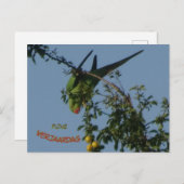 Carte postale d'anniversaire do-it-yourself perruq (Devant / Derrière)