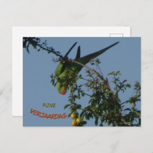 Carte postale d'anniversaire do-it-yourself perruq (Devant / Derrière)