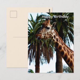 Carte postale d'anniversaire drôle de girafe donna