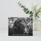 Carte postale d'anniversaire du Black Lab (Debout devant)