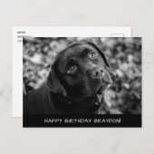Carte postale d'anniversaire du Black Lab (Devant / Derrière)