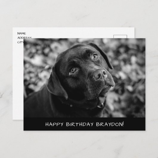 Carte postale d'anniversaire du Black Lab (Devant / Derrière)
