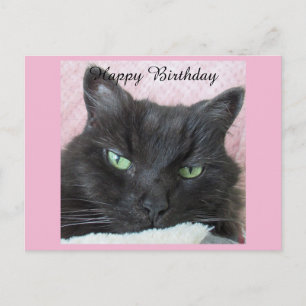 Carte postale d'anniversaire du chat noir
