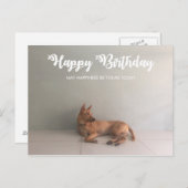 Carte postale d'anniversaire du chien de Ridgeback (Devant / Derrière)