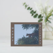 Carte postale d'anniversaire Écureuil dans l'arbre (Debout devant)