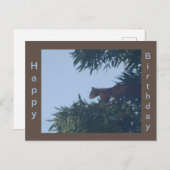 Carte postale d'anniversaire Écureuil dans l'arbre (Devant / Derrière)
