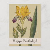 Carte postale d'anniversaire Iris Botaniques Vinta (Devant)