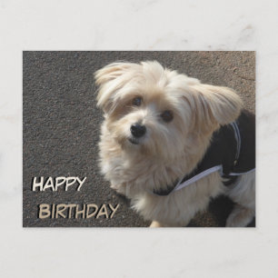 Carte postale d'anniversaire pour un mignon petit