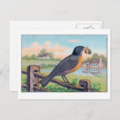 Carte postale d'anniversaire Robin vintage (Devant / Derrière)