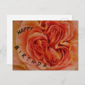Carte postale d'anniversaire Rose pastel magnifiqu (Devant / Derrière)
