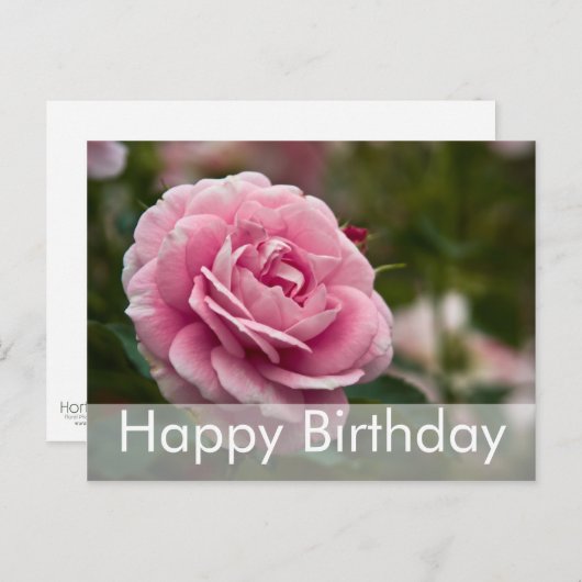 Carte postale d'anniversaire rose | Rose Geburtsta (Devant / Derrière)