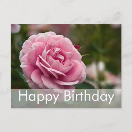 Carte postale d'anniversaire rose | Rose Geburtsta (Devant)