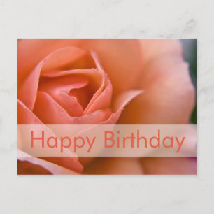 Carte postale d'anniversaire rose Rose Geburtsta
