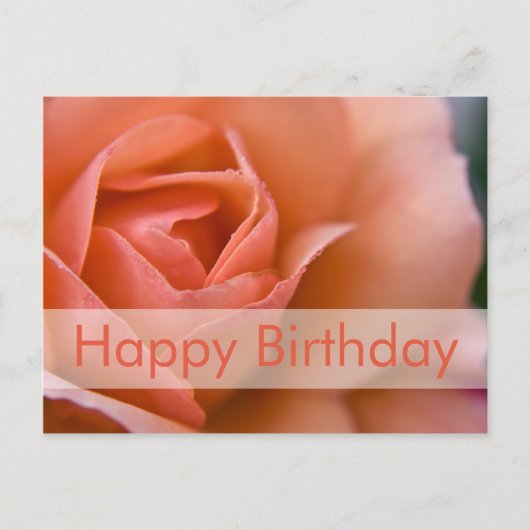 Carte postale d'anniversaire rose | Rose Geburtsta (Devant)