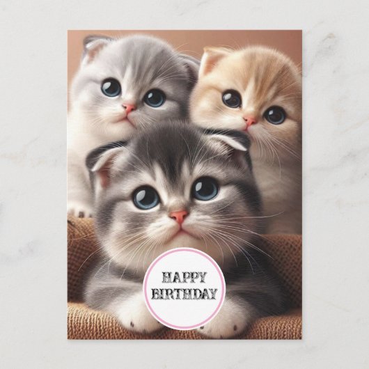 Carte postale d'anniversaire Trois Chatons (Devant)