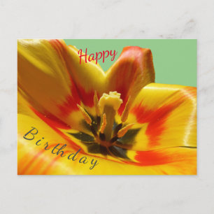 Carte postale d'anniversaire Tulipe Orange Jaune
