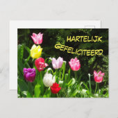 Carte postale d'anniversaire Tulipes Colorées Joye (Devant / Derrière)