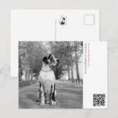 Carte postale d'annonce de chiot (Devant / Derrière)