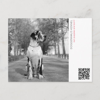 Carte postale d'annonce de chiot
