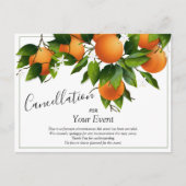 Carte postale d'annulation d'oranges (Devant)