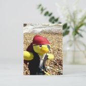 Carte Postale Danny Duck le Pirate (Debout devant)
