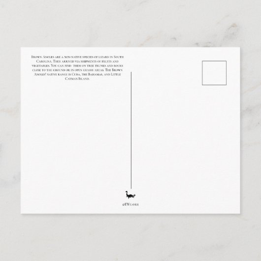 Carte postale d'Anolis brun (Dos)