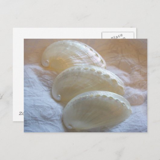 Carte Postale Dans Chaque Flèche Délicate (Devant / Derrière)