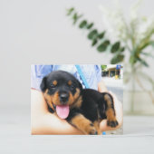 Carte Postale Dans de bonnes mains (Debout devant)