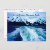 Carte Postale Dans la baie (Devant / Derrière)