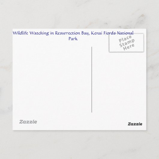 Carte Postale Dans la baie (Dos)