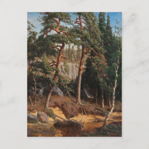 Carte postale "Dans la forêt"