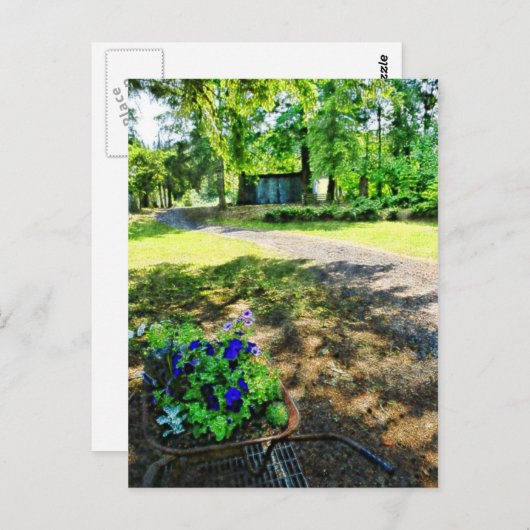 Carte Postale Dans la forêt (Devant / Derrière)