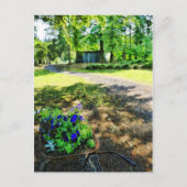 Carte Postale Dans la forêt (Devant)