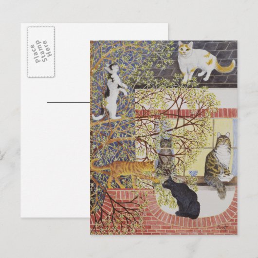 Carte Postale Dans la lumière (Devant / Derrière)