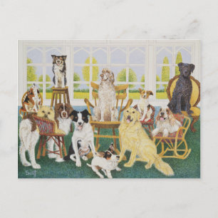 Carte Postale Dans la maison des chiens