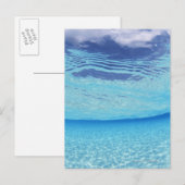 Carte Postale Dans la mer (Devant / Derrière)