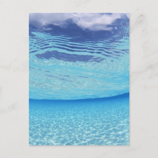 Carte Postale Dans la mer (Devant)