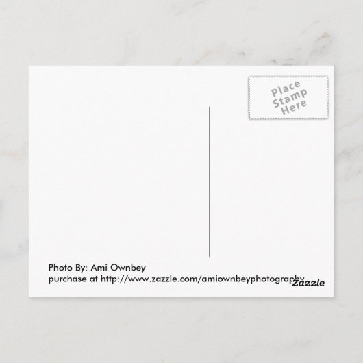 Carte Postale Dans la nuit (Dos)