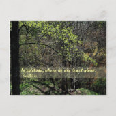 Carte Postale Dans la solitude... (Devant)