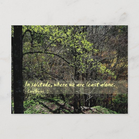 Carte Postale Dans la solitude... (Devant)