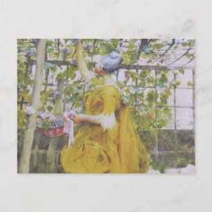 Carte Postale Dans l'arc des raisins