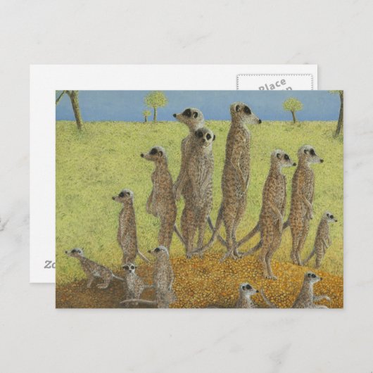 Carte Postale Dans le belvédère (Devant / Derrière)