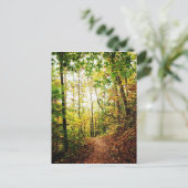 Carte Postale Dans le bois (Debout devant)