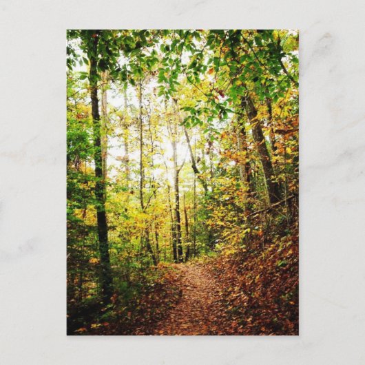 Carte Postale Dans le bois (Devant)