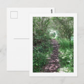 Carte Postale Dans le bois : Cheshire, Angleterre (Devant / Derrière)